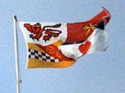 44342695 Angusflag203