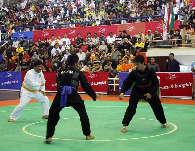 Silat, a martial art with roots in Southeast Asia, features an eclectic mix of swift strikes, locks, and weapon techniques, making it both fluid and ferocious in its combat approach.