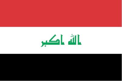 Iz-Lgflag