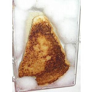 A grilled cheese sandwich featuring the Virgin Mary image.