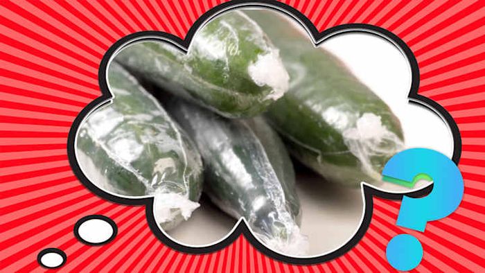 When it comes to cucumbers, these ones are certainly getting the VIP treatment.