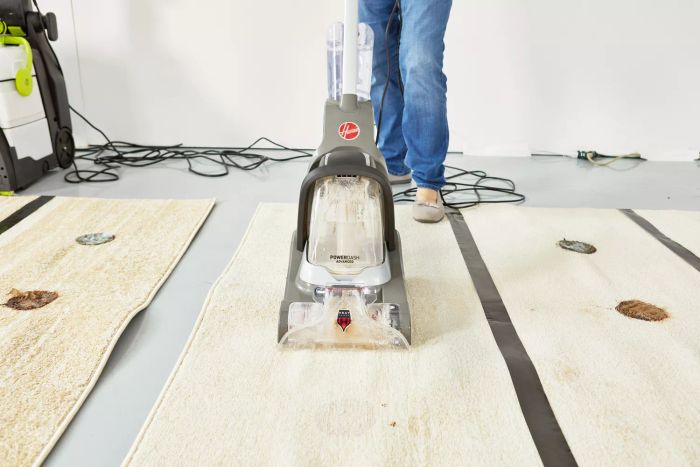 An individual cleaning a carpet with the Hoover PowerDash Pet Advanced Carpet Cleaner