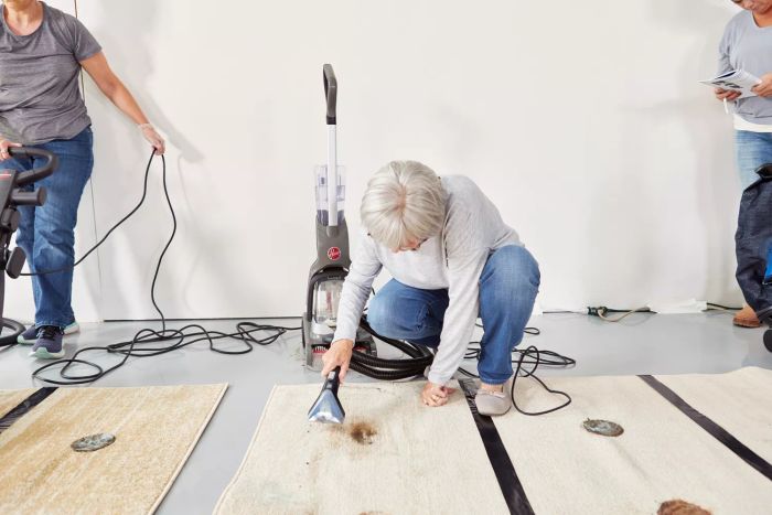 A person using the Hoover PowerDash Pet Advanced Carpet Cleaner hose to eliminate a stain from a carpet