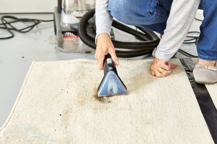 A person using the Hoover PowerDash Pet Advanced Carpet Cleaner hose to clean a stain from a carpet