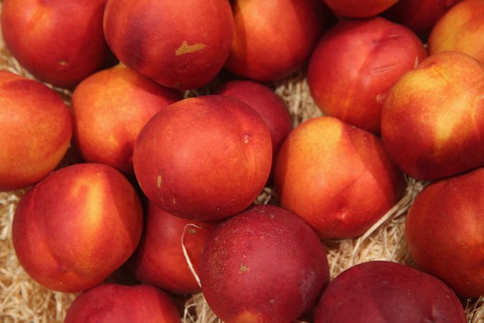 image of nectarines on display at a market