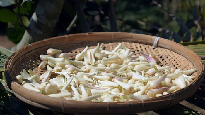 Hướng dẫn chi tiết cách sơ chế kiệu