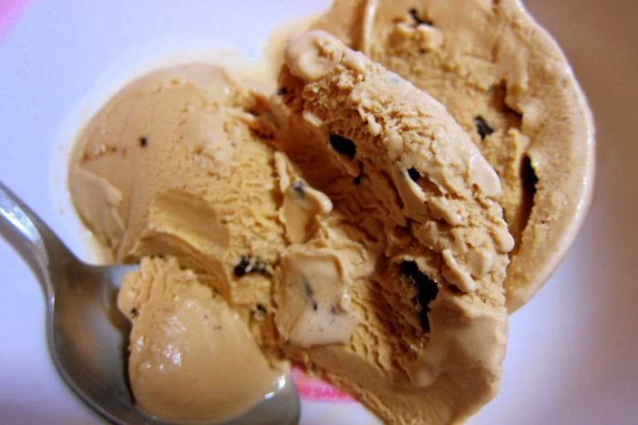 A bowl filled with scoops of Starbucks Java Chip Ice Cream, accompanied by a spoon