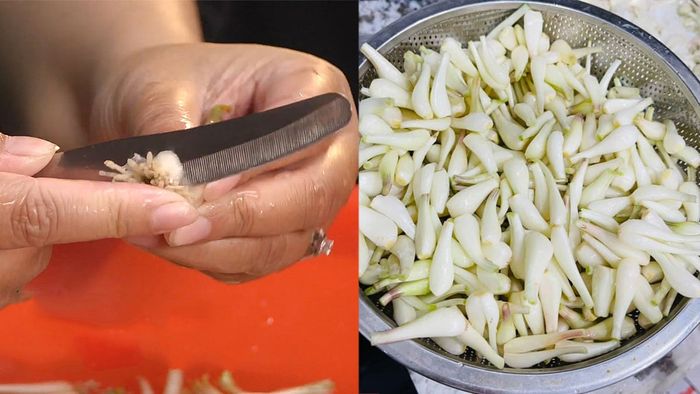 Hướng dẫn chi tiết cách sơ chế kiệu