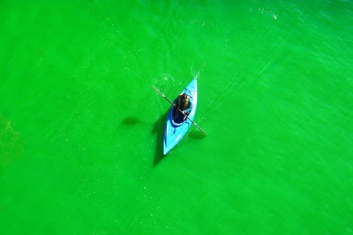 A person paddling a canoe in a vividly green river