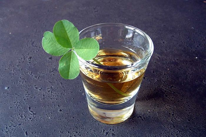 A shot glass filled with whisky, adorned with a four-leaf clover as a symbol of luck. The focus is on the delicate petals of the clover.