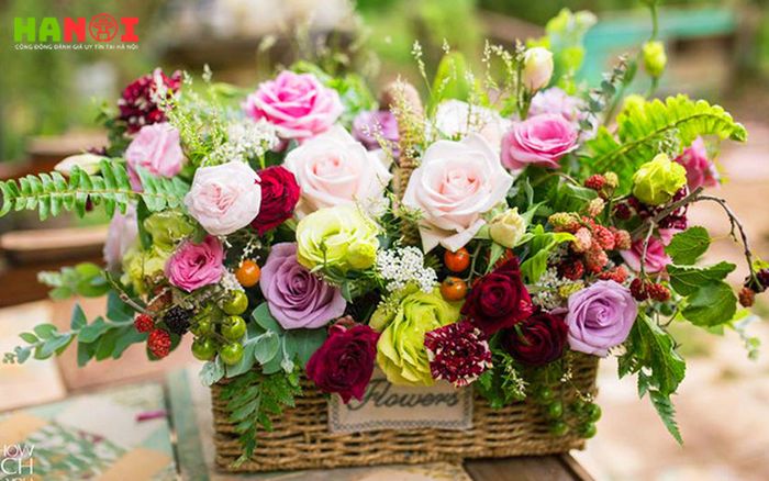 Shmily-flower-Mytour