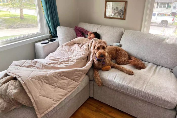 A person and their dog relaxing on the 7th Avenue 4-Seat Modular Chaise Sectional with Ottoman in a living room