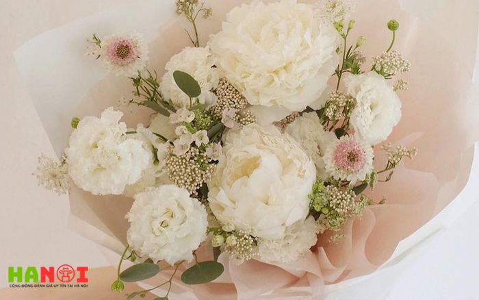 Hoa-tuoi-nguyen-yen-Mytour