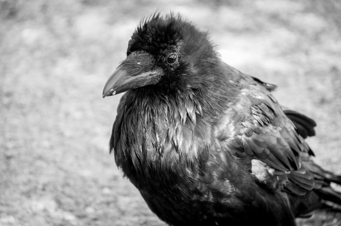 ThinkstockPhotos-470350688