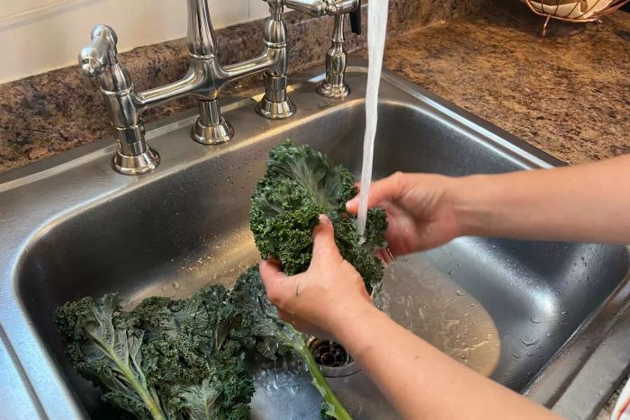 A person washing kale in a kitchen sink using the Kingston Brass Heritage Bridge Kitchen Faucet
