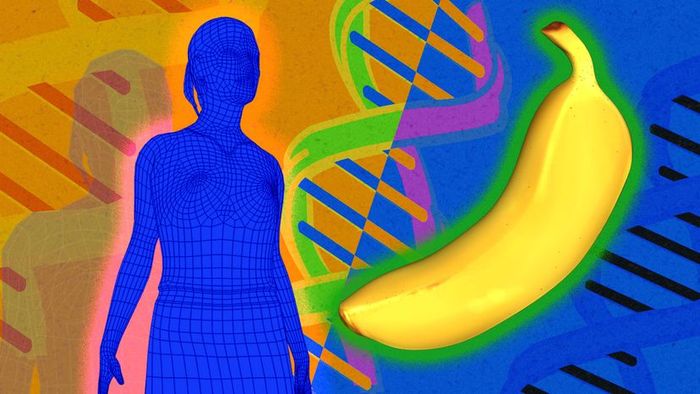 A depiction of a person and a banana side by side.