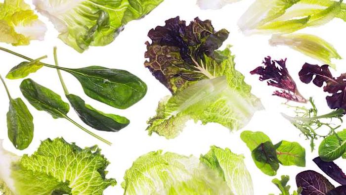 Apologies to lettuce.