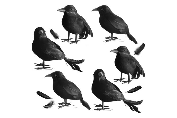 Kemooie 6-Pack Real Feathered Black Halloween Crows