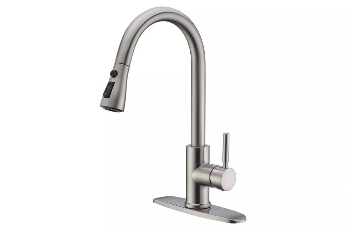 Wewe Single-Handle High-Arc Pull-Out Faucet