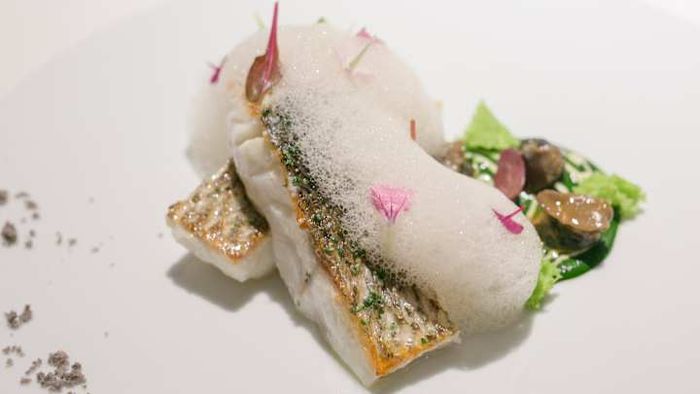 Foam plays a significant role in the world of molecular gastronomy.