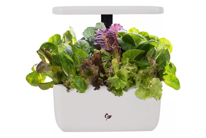 Amazon AeroGarden Harvest 2.0, Indoor Garden Hydroponic System