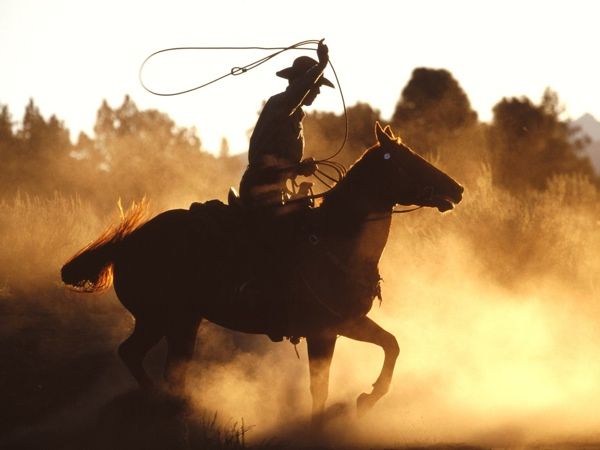Ws Cowboy With Lasso 1600X1200