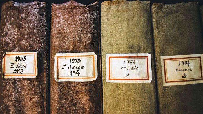 books affected by mildew