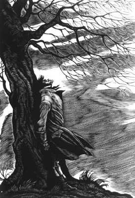 Heathcliff