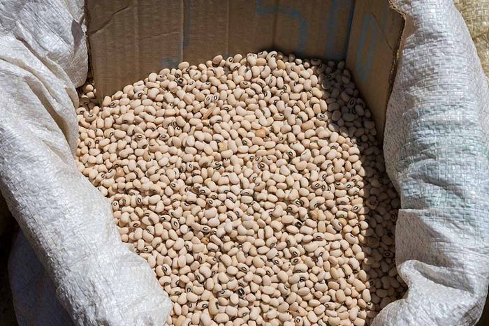 Dried beans available for purchase in a market.