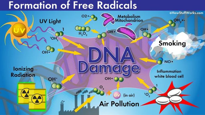 free radical