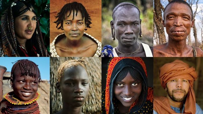 a diverse collection of portraits representing various African ethnicities