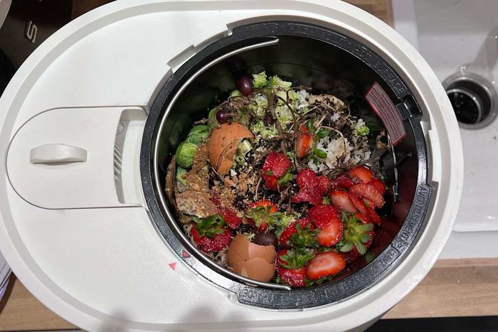 Lomi compactor with food waste inside.