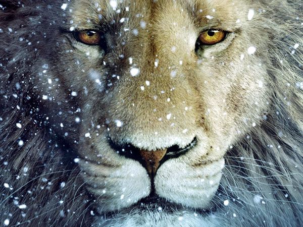 Narnia