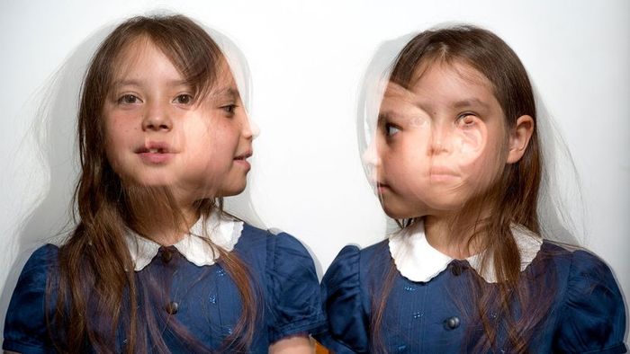 twins lookalike