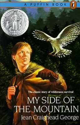 Mysideofmntn-734420