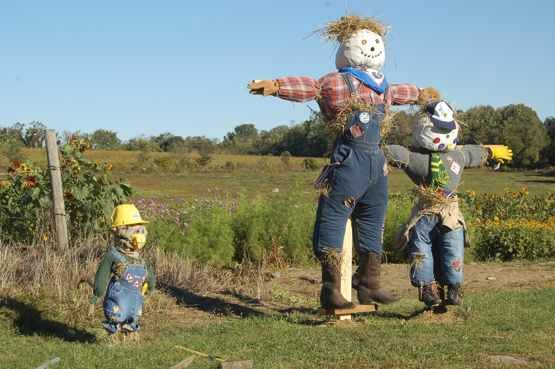 Scarecros