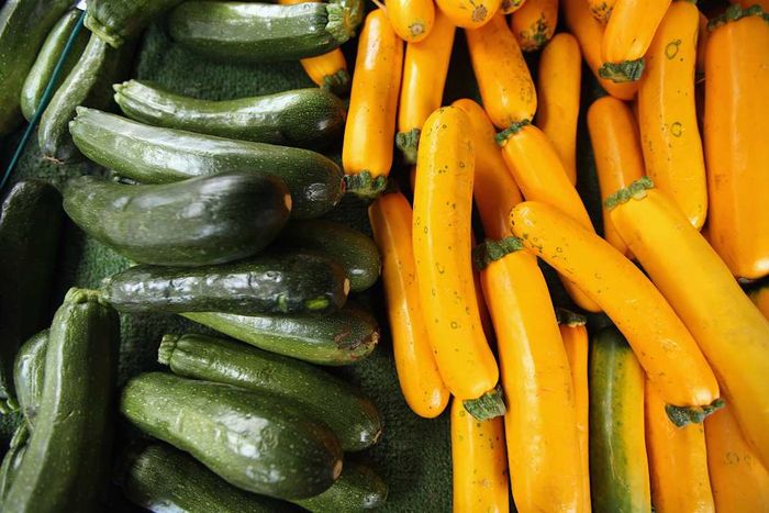 A variety of zucchini and squash