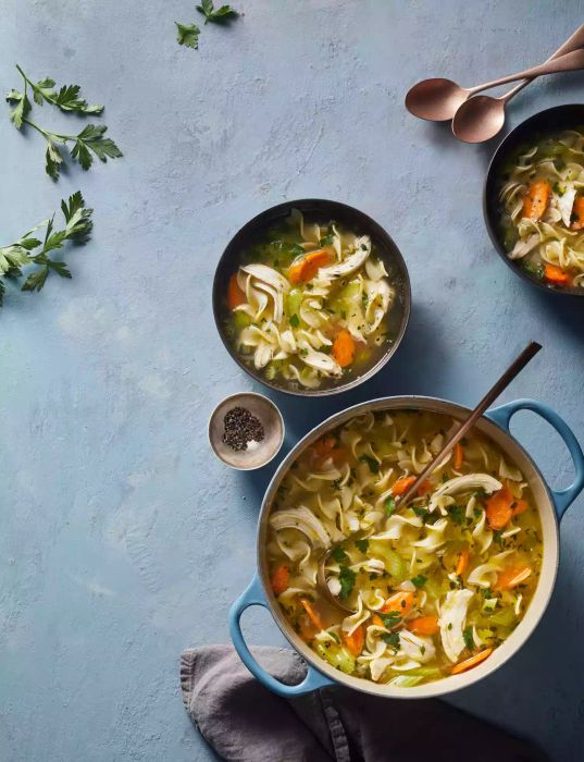 chicken-noodle-soup-0219big tout