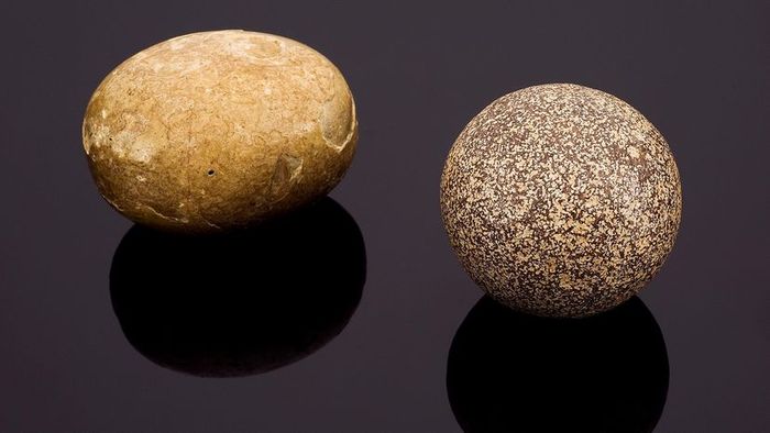 bezoar stones, their medicinal uses