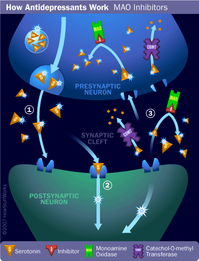 MAO Inhibitors
