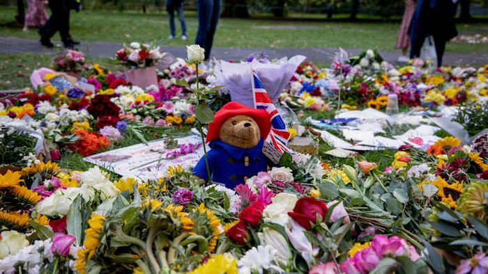 There can indeed be too much Paddington at times.