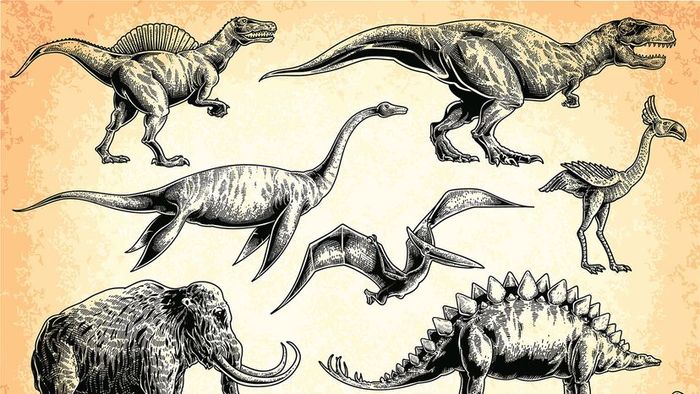 Illustration of a dinosaur
