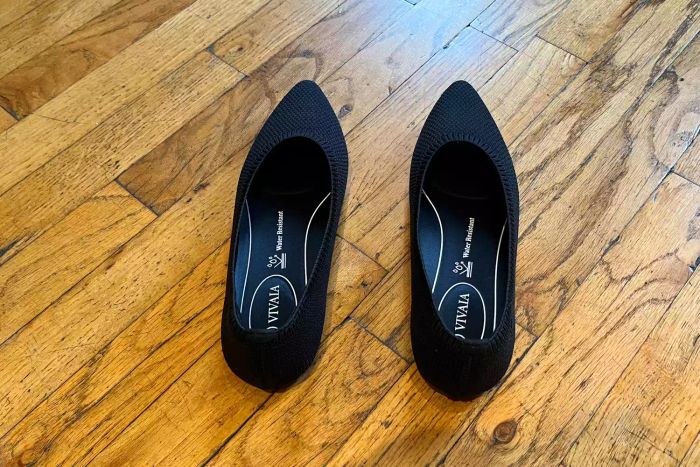 VIVAIA Pointed-Toe Water Repellent Ballet Flats (Aria 5°) placed on a wooden surface