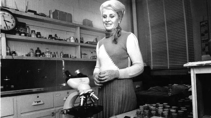 Marian Diamond is pictured in a laboratory setting, using a microscope.