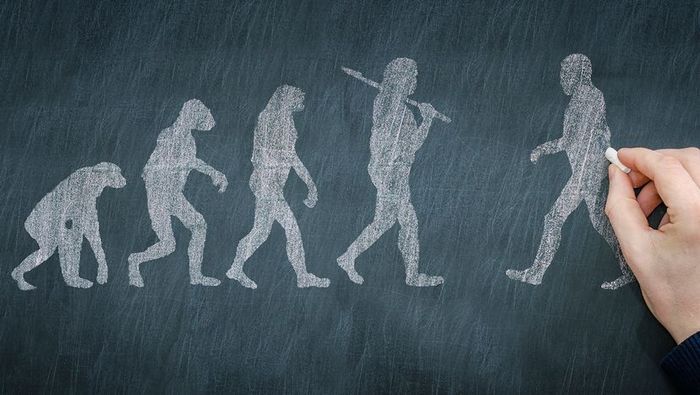 Illustrations depicting the transformation of a primate into a contemporary human