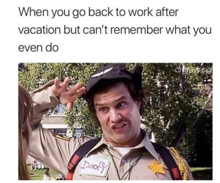 A goofy man saluting with the caption,