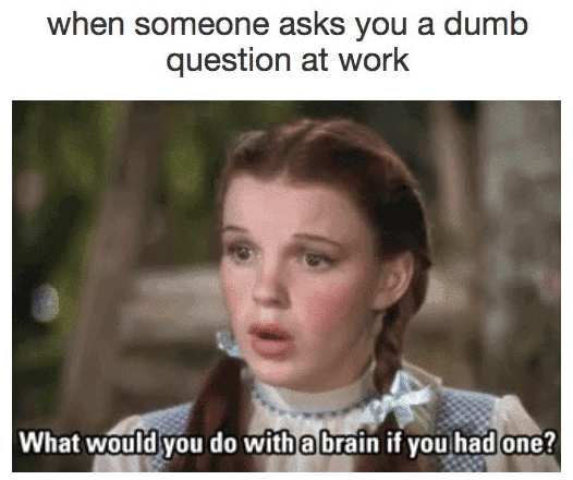 Dorothy asks,