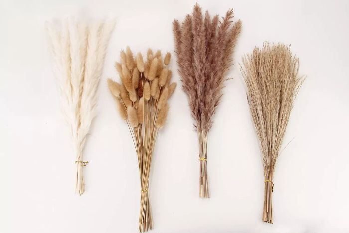 Amazon ANPROORDried Pampas Grass Decor