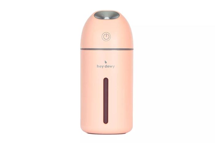 Hey Dewy Wireless Facial Humidifier