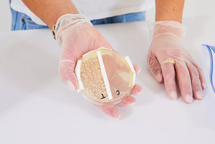 A hand holding a petri dish